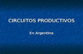 CIRCUITOS PRODUCTIVOS En Argentina. Concepto Se denomina circuito productivo a un encadenamiento de eslabones o etapas que en conjunto dan lugar a un.