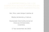 Por: Phd. León Felipe Cubillos Q Medio Ambiente y Cultura Doctorado Interinstitucional en Ciencias Ambientales Colombia 17 de noviembre de 2015.