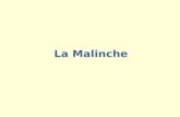 La Malinche. ¿Qué sabes sobre la Malinche? Decide si las aformaciones son ciertas o falsas. 1. Su verdadero nombre era Malintzin. 2. Vivió en el siglo.