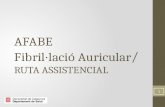 AFABE Fibril·lació Auricular / RUTA ASSISTENCIAL 1.