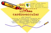 Sistema circulatorio sistema cardiovascular ¿Qué lograré? Explicar la función de transporte del sistema circulatorio (sustancias alimenticias y oxígeno.