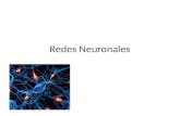 Redes Neuronales. REDES NEURONALES Neurona: base del funcionamiento del cerebro. Sistema de procesamiento cerebral de la información: – Complejo, No lineal.