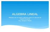 ALGEBRA LINEAL Método de la matriz adjunta para el cálculo de matriz inversa Ing. Sergio A Nieto.