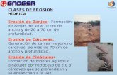 CLASES DE EROSIÓN HÍDRICA Erosión de Zanjas: Formación de zanjas de 30 a 70 cm de ancho y de 20 a 70 cm de profundidad. Erosión de Cárcavas: Generación.