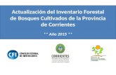 Actualización del Inventario Forestal de Bosques Cultivados de la Provincia de Corrientes Actualización del Inventario Forestal de Bosques Cultivados de.