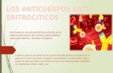 Anticuerpo es una glicoproteína producida por el sistema inmunitario del cuerpo cuando detecta sustancias dañinas, llamadas antígenos. Anticuerpo es una.
