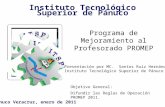 Instituto Tecnológico Superior de Pánuco Pánuco Veracruz, enero de 2011 Objetivo General: Difundir las Reglas de Operación PROMEP 2011. Presentación por.
