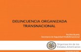 Paulina Duarte Secretaría de Seguridad Multidimensional DELINCUENCIA ORGANIZADA TRANSNACIONAL 1 de octubre de 2015.