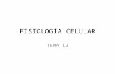 FISIOLOGÍA CELULAR TEMA 12. Las células realizan tres funciones básicas: nutrición relación reproducción.