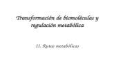 Transformación de biomoléculas y regulación metabólica II. Rutas metabólicas.