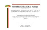 Modelo Informe de Prácticas Preprofesionales Andrés Loja