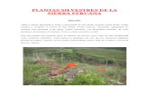 Plantas Silvestres de La Sierra Peruana