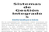 Sistemas de Gestion Integrados (01)