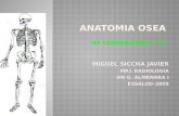 anatomia osea parte 2.pptx