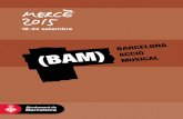 Program a Bam 2015