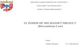 Microsoft Proyect CASE