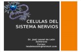 Celulas Del Sistema Nervios
