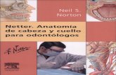 Anatomia de Cabeza y Cuello Para Odontologos (Netter, Neil s Norton)-1 Copy
