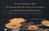 Enciclopedia IlustrEnciclopedia Ilustrada de los Cactos y Otras Suculentas de  Antonio Gomez Sanchez