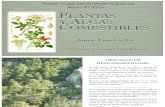 Manual de Plantas y Algas Comestibles