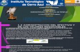 1.2 ADMINISTRACION DEL EFECTIVO Y DE LOS VALORES NEGOCIABLES.pptx