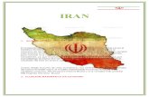 IRAN- variables instrumentales.docx