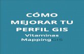 Como Mejorar Tu Perfil GIS - Vitaminas MappingGIS