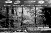Informe IFN forestal Inab.pdf