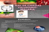 Chagas y Paludismo. Presentacion