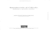 Introducción al Cálculo. Problemas y Ejercicios Resueltos - José R. Franco - 1ed.pdf