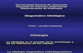 Clase Citologia 2006. Lourdes