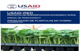 USAIDProduccion Plantulas