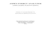 4. Aspen Energy Analyzer1
