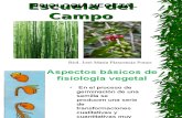 4.0 FisioAspectos básicos de fisiología vegetallogia Vegetal