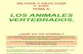 Biología y Geología 1º ESO. Tema 6: Los Vertebrados
