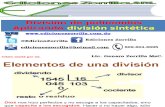 7 División Sintetíca WEB