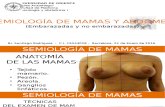 Semiología de Mama y Abdomen Gineco I