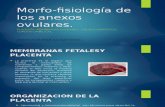Morfo-fisiología de Los Anexos Ovulares