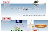 Programa de Carne Caprina (INTA)