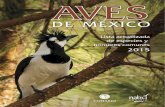 Aves de México Lista