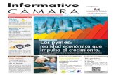 Informativo Camara 2015.pdf