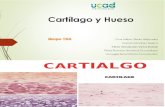 Cartilago y Hueso.pptx