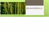Bambu Expo