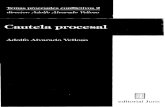 Temas Procesales Conflictivos II - Cautela Procesal - Adolfo Alvarado Velloso
