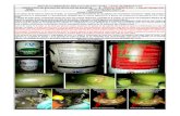 Informe Pintura Tuberias Sistema Agua Enfriamiento Piso de Valvulas 23-01-2016