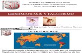 Leishmaniasis y Paludismo