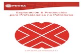 PDVSA - Exploración & Producción Para Profesionales No Petroleros