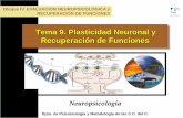 Presentacion Tema 9. Neuropsicologia Revisada 2014-15