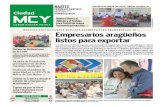 Periodico Ciudad Mcy - Edicion Digital (8)