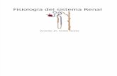 Fisiologia-renal Sin Color
